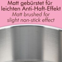 Springform Edelstahl Backform unbeschichtet PFAS-frei 25 cm